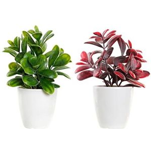 Decoratieve plant van het merk DKD Home Decor Rood Groen aardewerk polypropyleen (PP) (2 stuks) (13 x 11 x 17,5 cm) (Referentie: S3014236)