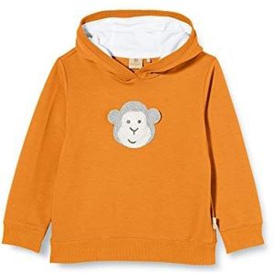 Bellybutton mother nature & me Baby-jongens sweatshirt, Oranje (Orange Ochre|orange 4640), 92 cm