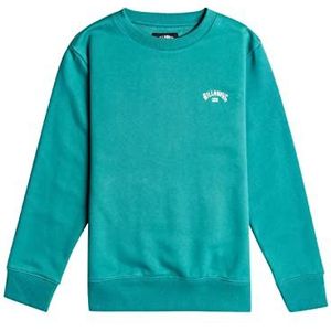 BILLABONG Boy's Arch Cr Sweatshirt (pak van 1)