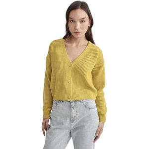 DeFacto Gebreid damesvest - verscheidenheid aan gebreide jassen - truien & cardigan - gebreid vest voor dames, geel, S