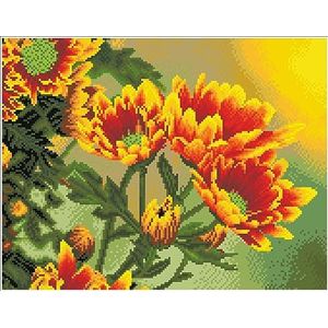 Diamond Dotz DQK9-001 Squares Field Daisies met zwart frame, ca. 35 x 45 cm groot, diamond painting, schilderen met diamanten, fonkelende afbeelding om zelf vorm te geven, voor kinderen en volwassenen