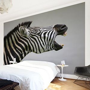 Apalis Vliesbehang brullend zebra fotobehang breed | vliesbehang wandbehang muurschildering foto 3D fotobehang voor slaapkamer woonkamer keuken | grijs, 94554