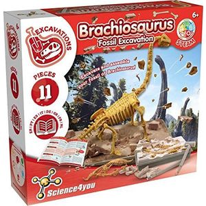 Brachiosaurus, opgravingsset voor kinderen +6 jaar - Graaf en monteer 11 dinosaurusfossielen met dit paleontologische, archeologische speelgoed voor kinderen, wetenschappelijke spellen van 6-10 jaar