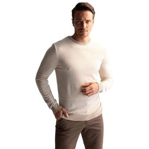 DeFacto Heren gebreide trui met lange mouwen ronde hals sweater - slim fit trui voor heren tops (stone, 5XL), stone, 5XL