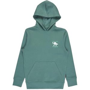 Billabong - Foundation Po - Hoodie - Katoen en Gerecycled Polyester Mix - Voor Jongens 8-16