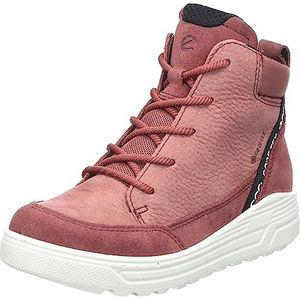 Ecco Urban Snowboarder