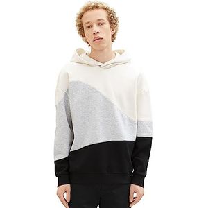 TOM TAILOR Denim Heren Relaxed Fit Colorblock Hoodie, 12906-wol wit, M