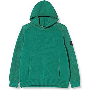 BOSS Heren Aniglio Knitwear, Medium Green312, M