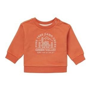 Noppies Baby Baby-jongens jongens sweater lange mouwen Jalna pullover, Bombay Brown-P485, 86