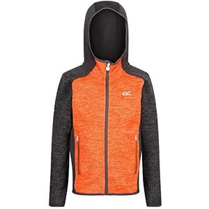 Regatta Kid's Dissolver II Extol Stretch Knit Effect Hooded Fleece, Magnet/Magneet, 13 jaar