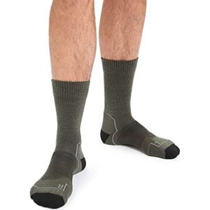 Icebreaker Hikecrewe lichte sokken