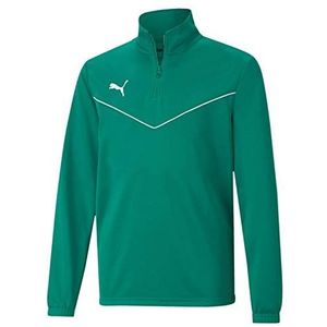 Puma Kinder Pullover Teamrise 1/4 Zip Top Jr, Pepper Greenpuma White, 116, 657395