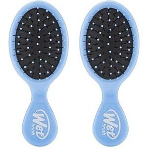 Wet Brush Ontwarrende borstel, mini-ontklitter (lucht), nat en droog, klitvrije uniseks haarborstel, geen klitten, zachte en flexibele borstelharen voor steil, krullend en dik haar (set van 2)