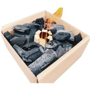 Woodson Kant-en-klare houtskool grillcartridge, snel en comfortabel ontsteken zonder je handen vuil te maken