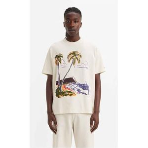 Levi's Vintage FIT Graphic Tee Neutrals, Surf Scenic Tofu, L