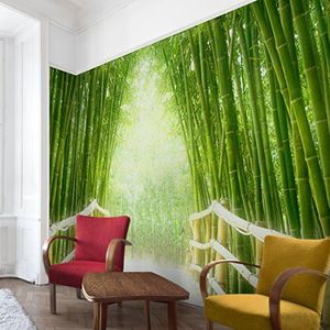 Apalis 94887 Behang vliesbehang, bamboe, way-fotobehang, bamboe breed, vliesfotobehang, muurbehang, muurschildering HxB: 255 x 384 cm groen