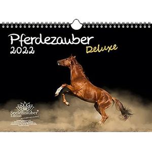 Seelenzauber Paarden Magie Deluxe A4 Kalender Voor 2022