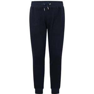 Pepe Jeans Ryan Jogg-broek voor heren, Blauw (Dulwich), L