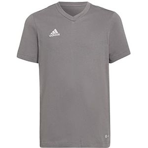 adidas Unisex Kids T-Shirt (korte mouwen) Ent22 Tee Y, Tegrfo, HC0444, 116 EU