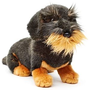 Uni-Toys - Rauhhair teckel, zittend (zonder lijn) - 22 cm (hoogte) - pluche hond, teckel, huisdier - pluche dier, knuffeldier (zonder lijn)