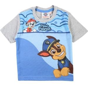 Paw Patrol, T-shirt, jongens, meisjes, (2 tot 8 jaar), poloshirt, tanktop, overhemd, bedrukt, kleding, uniseks, kinderen, sport, ademend, model PAW36-0705 S2-4A, Grijs, 4 Jaar