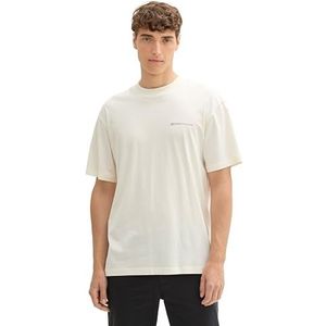 TOM TAILOR Denim T-shirt voor heren, 12906 - Wool White, XL
