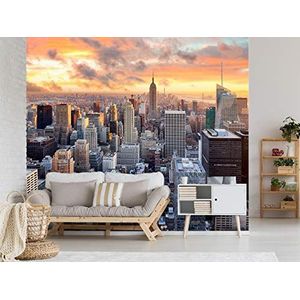 Oedim vliesbehang in Manhattan | wandbehang | wandbehang | behang | 500 x 300 cm | decoratie voor eetkamer, woonkamer, slaapkamer