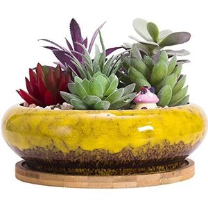 ARTKETTY Vetplantenpot, 18,5 cm grote bonsaipot met dienblad, keramische vetplant met afvoergat, ondiepe cactusbloempotten voor binnen/buitenplanten geglazuurde plantenbak, geel