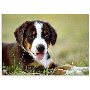 VELOFLEX 4650099 - Bureauonderlegger puppy, 35 x 50 cm, antislip, afveegbaar, met transparante antireflecterende beschermfolie, bureauonderlegger, schildersmat, knutselmat
