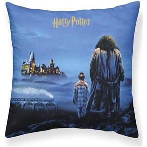 Belum kussensloop Harry Potter, afmetingen: 50 x 50 cm, model: Philosopher's Stone A, stof: Half Panama, 100% katoen, 250 g.