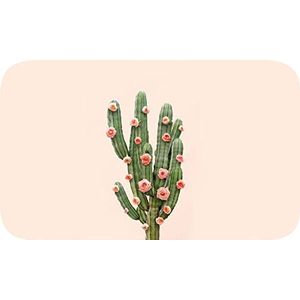 Homemania Badmat cactus 2, waterbestendig, meerkleurig, van micro-polyamide