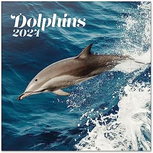 Grupo Erik Kalender 2024 Dolphins - Wandkalender 12 Maanden - Broschürenkalender 2024 30x30 cm - Fsc-gecertificeerde wandkalender - +Bonus 4 maanden