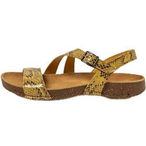 Gezondheidsslippers - Voering van Microvezel