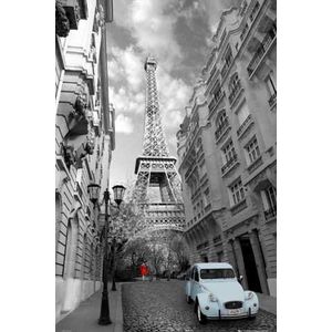 Empire 391025 Paris - rode jurk. Blauwe eend - Poster Foto Citroen Deux Chevaux 2CV - grootte 61 x 91,5 cm