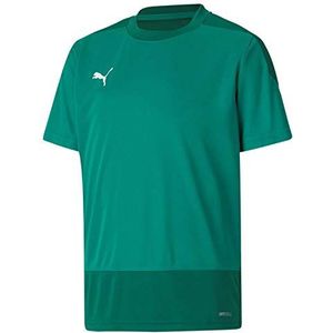PUMA Kinder teamGOAL 23 Training Jersey Jr Trainingstrikot, Pepper Green-Power Green, 116