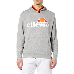 ellesse Sweatshirt met capuchon, grijs melange, maat M, gemengd grijs, M