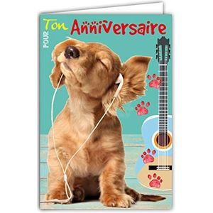 Kaart, voor verjaardag, honden, pups, larador reriever, schattig, hoofdtelefoon, muziek, gitaar, paaltje, gemaakt in Frankrijk