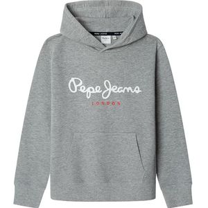 Pepe Jeans Art Hoodie Sweatshirt voor jongens, Grijs (mergel grijs), 14 jaar