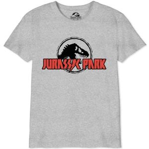 Jurassic Park BOJUPAMTS033 T-shirt, grijs gemêleerd, 12 jaar, jongens, Grijs Chinees, 12 Jaren
