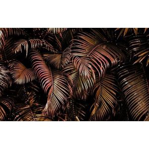 Rasch Behang 363135 - Fotobehang op vlies met palmbladeren in rood en zwart uit de collectie Magicwalls - 2,65 m x 4,24 m (l x b)