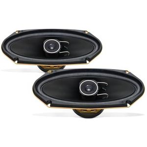 Pioneer TS-A4103 4 X 10 2-weg luidsprekers