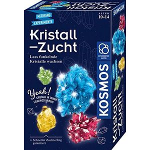 Kristall-Zucht: Experimentierkasten