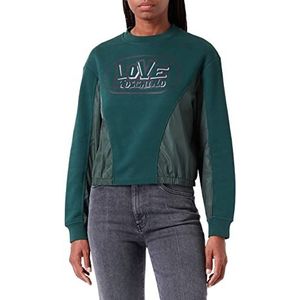 Love Moschino Sweatshirt met ronde hals en skate-print, groen, 40