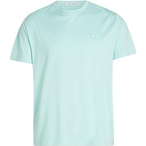 Calvin Klein Jeans Heren Plus Ck Embro Badge Tee S/S Knit Tops, Blauwe Tint, 3XL grote maten