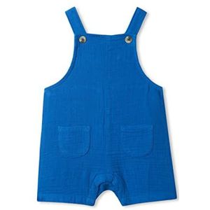Hatley Baby Jongens Overalls, Blauw, 6-9 Maanden