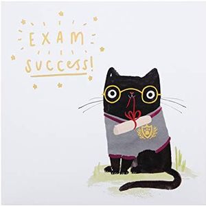 Hallmark Examen Succes Gefeliciteerd Kaart - Schattig Geïllustreerd Cat Design