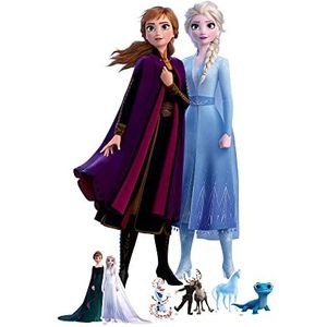SP014 Anna en Elsa Frozen Kartonnen Uitsparing Feestdecoraties Met Zes Mini Feestbenodigdheden