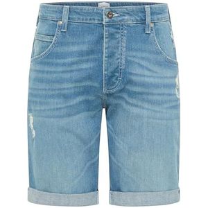 Stijl Michigan, Lichtblauw 212, 33