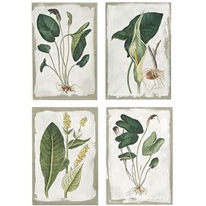 DKD Home Decor Canvas Botanische planten (4 stuks) (40 x 3 x 60 cm) (Referentie: S3018423)