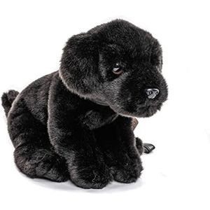 Uni-Toys Labrador puppy (zwart), met riem - 23 cm (hoogte) - pluche hond, huisdier - pluche dier, knuffeldier